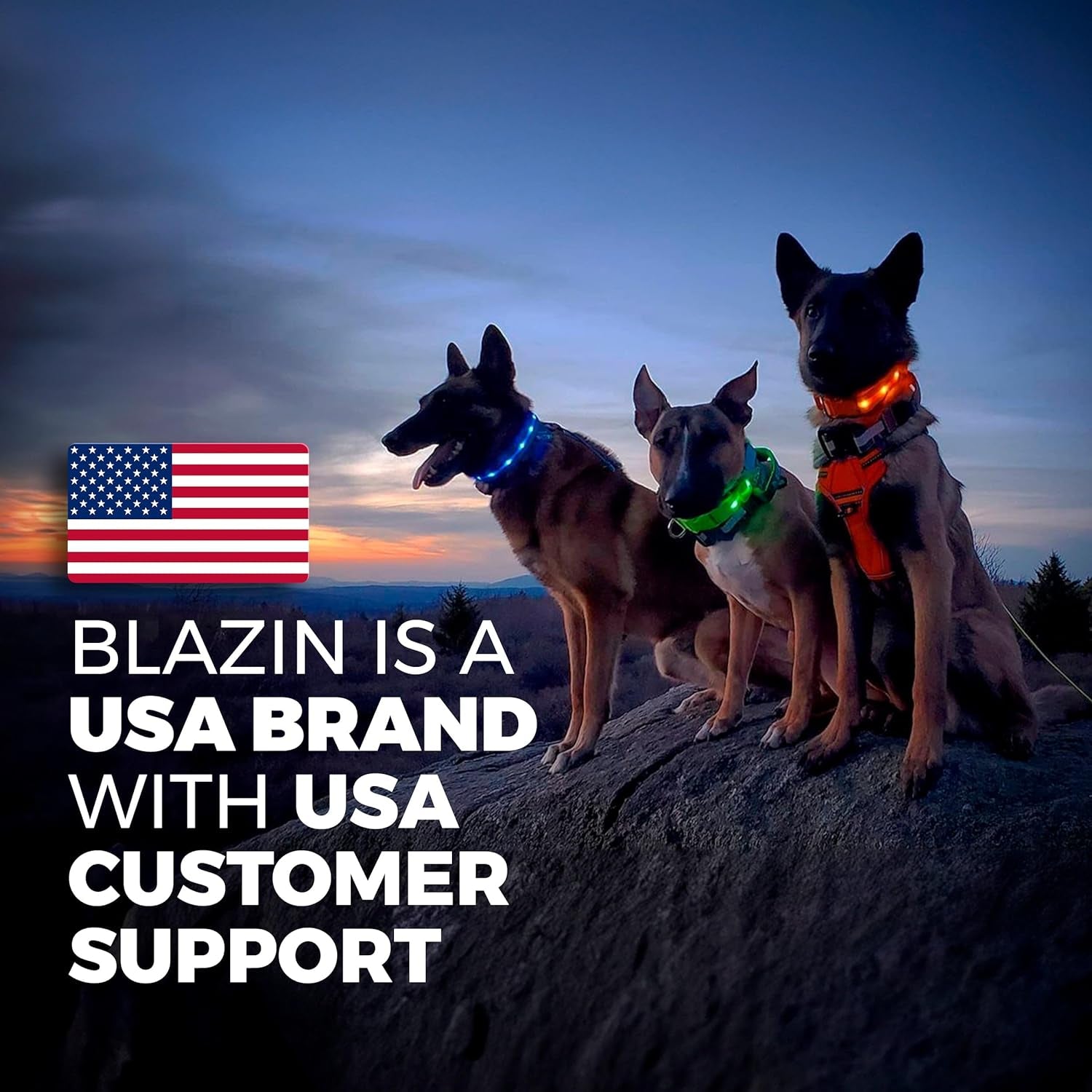 LED Dog Collar - Original Rechargeable Waterproof Light with 1,000 Feet Visibility for Safe Night Walking - USA Brand