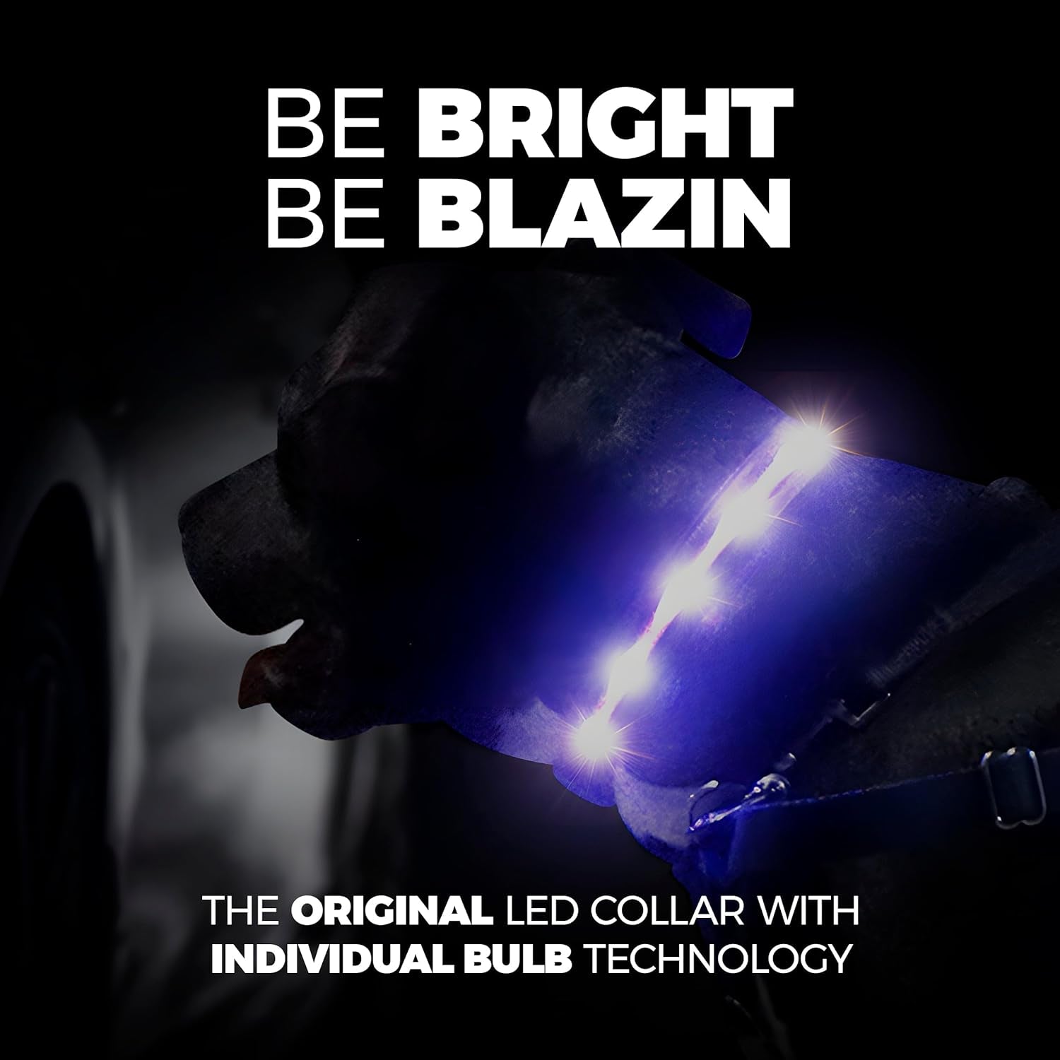 LED Dog Collar - Original Rechargeable Waterproof Light with 1,000 Feet Visibility for Safe Night Walking - USA Brand
