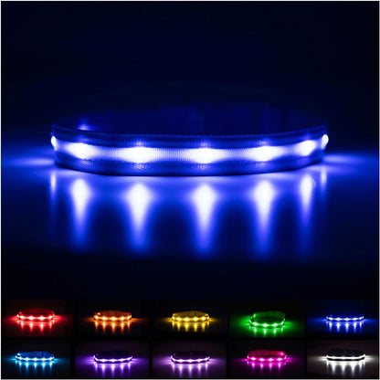 LED Dog Collar - Original Rechargeable Waterproof Light with 1,000 Feet Visibility for Safe Night Walking - USA Brand